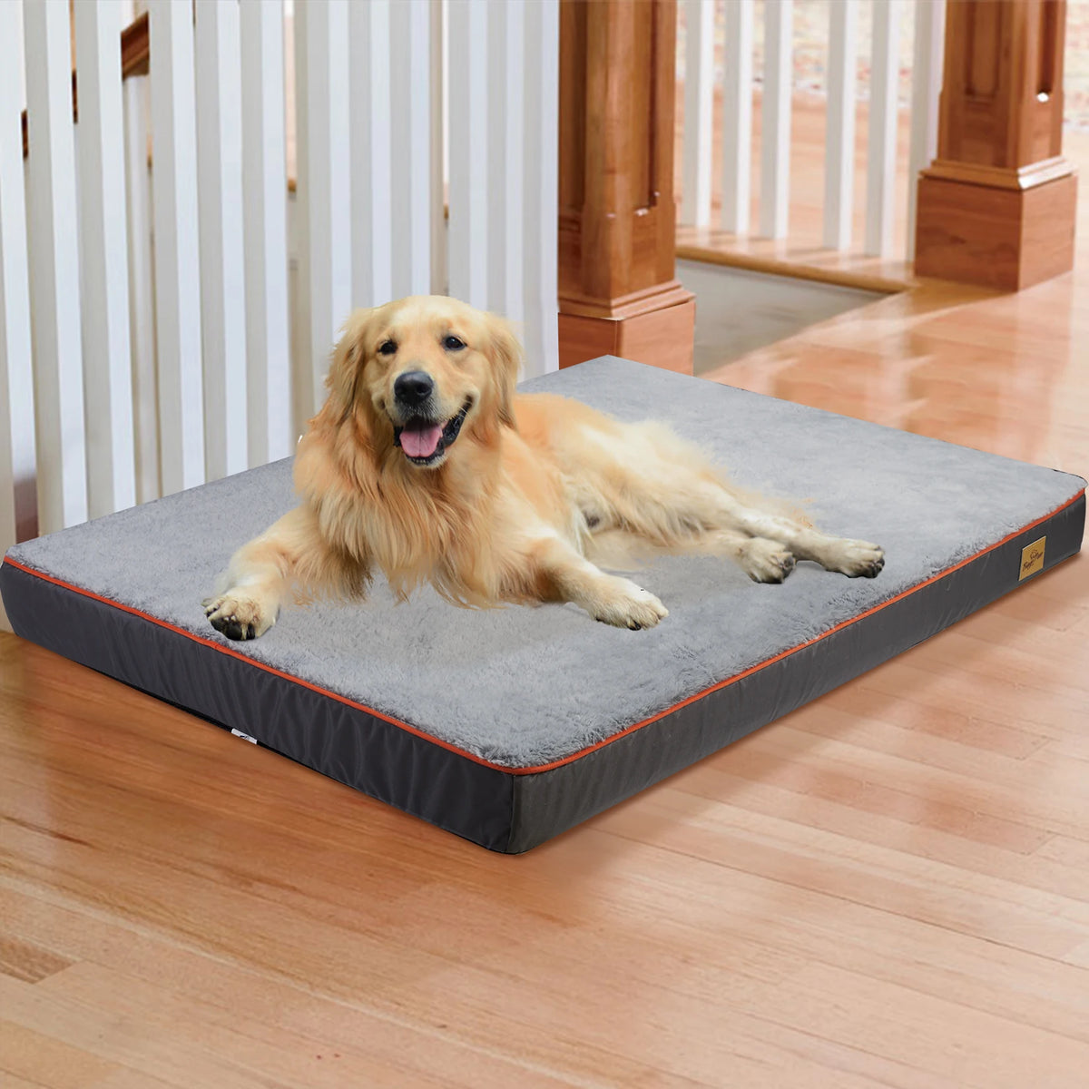 Large Orthopedic Dog Bed Memory Foam