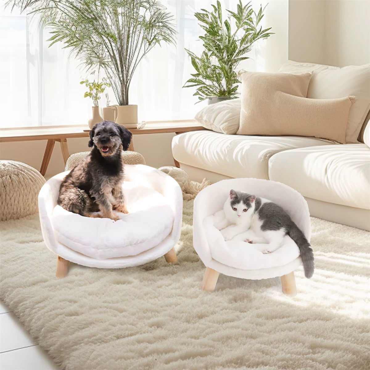 Raised Pet Sofa Bed for Cats & Small Dogs — Removable Cushion