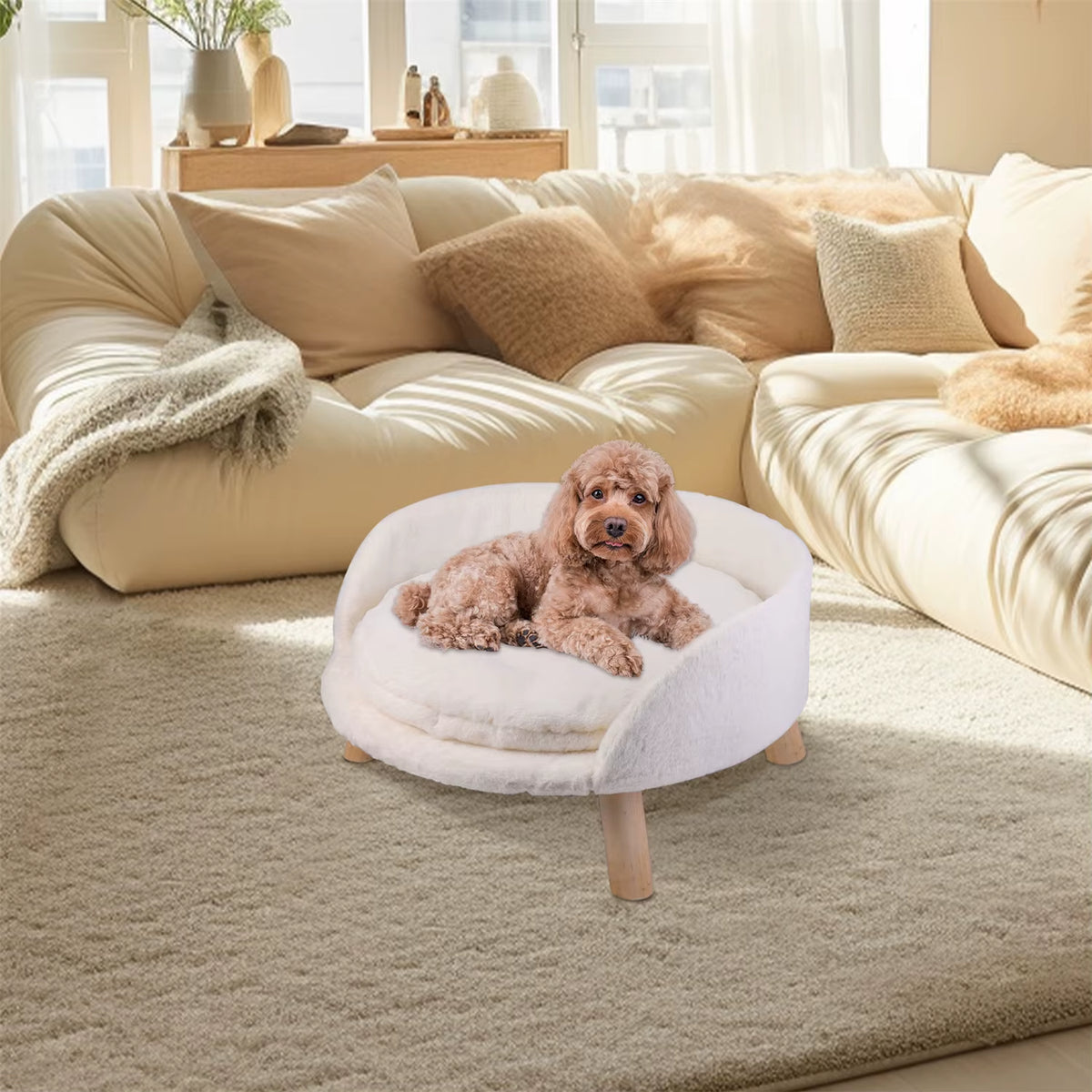 Raised Pet Sofa Bed for Cats & Small Dogs — Removable Cushion