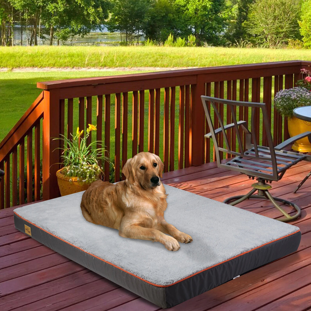 Large Orthopedic Dog Bed Memory Foam