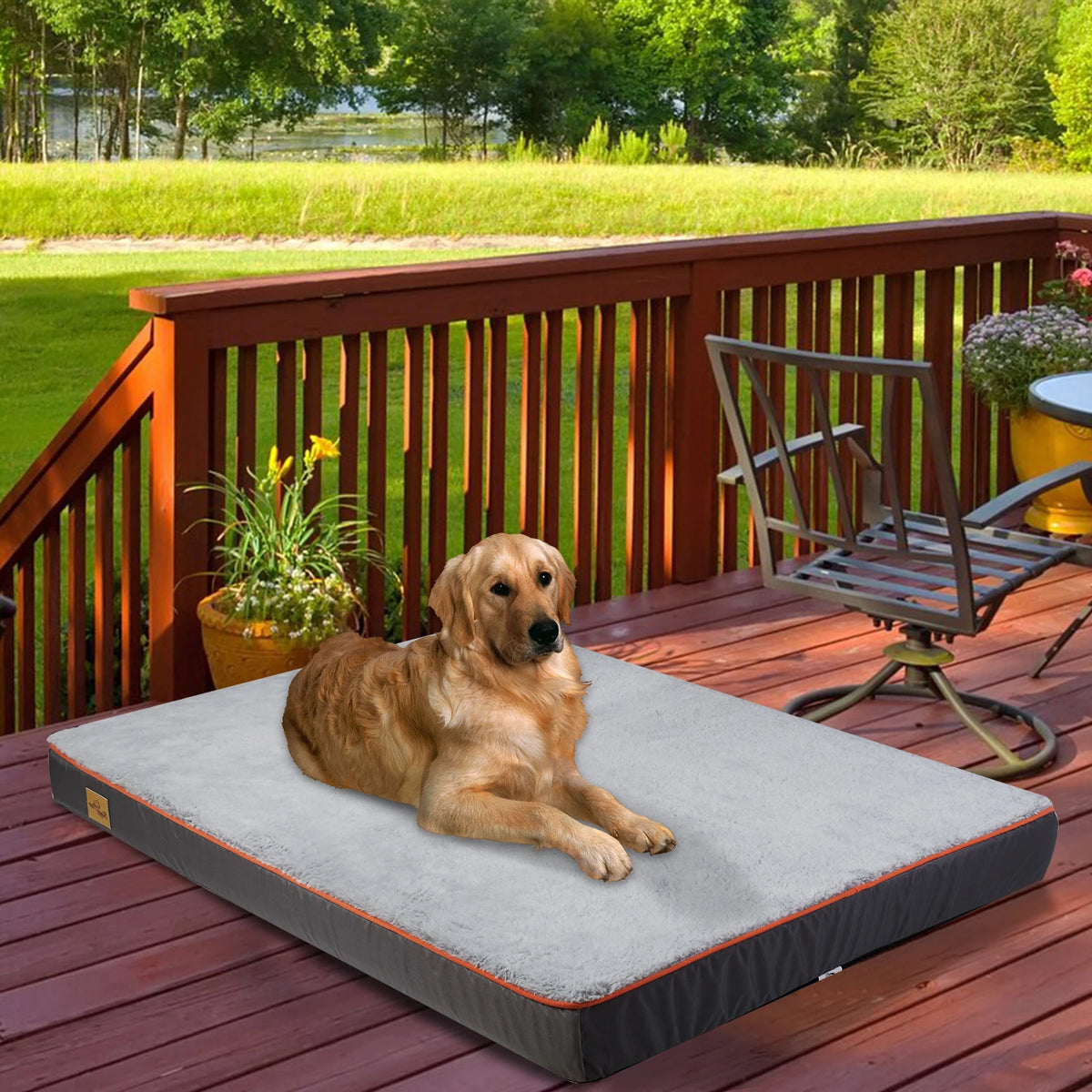 Large Orthopedic Dog Bed Memory Foam