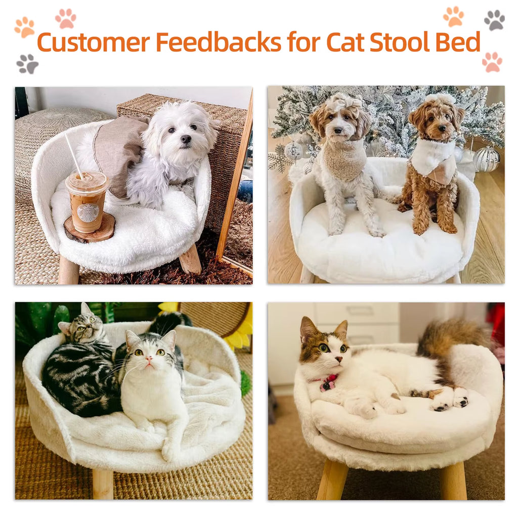 Raised Pet Sofa Bed for Cats & Small Dogs — Removable Cushion
