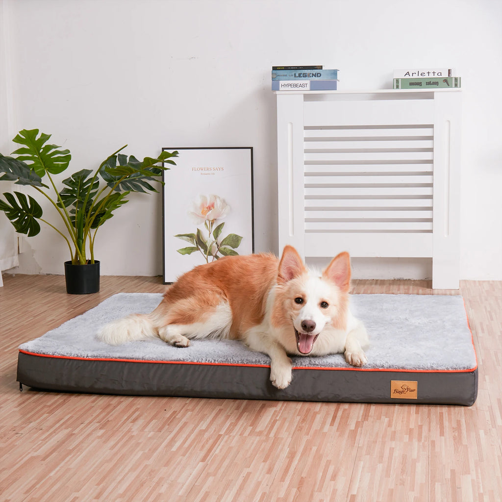 Large Orthopedic Dog Bed Memory Foam