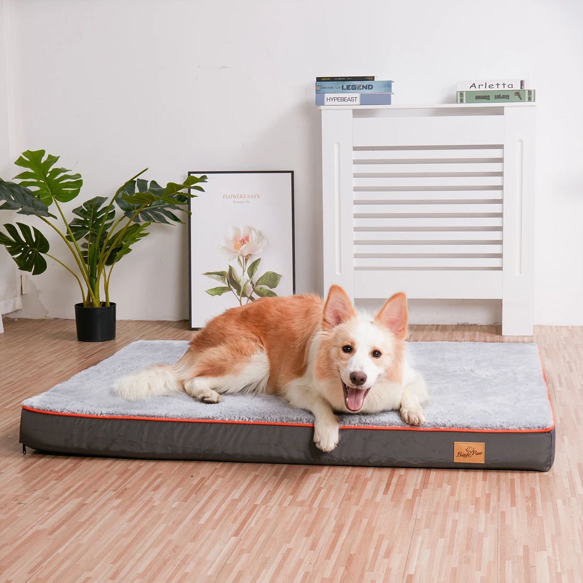 Large Orthopedic Dog Bed Memory Foam